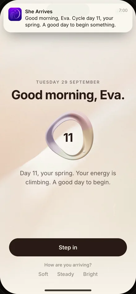She Arrives, the morning screen